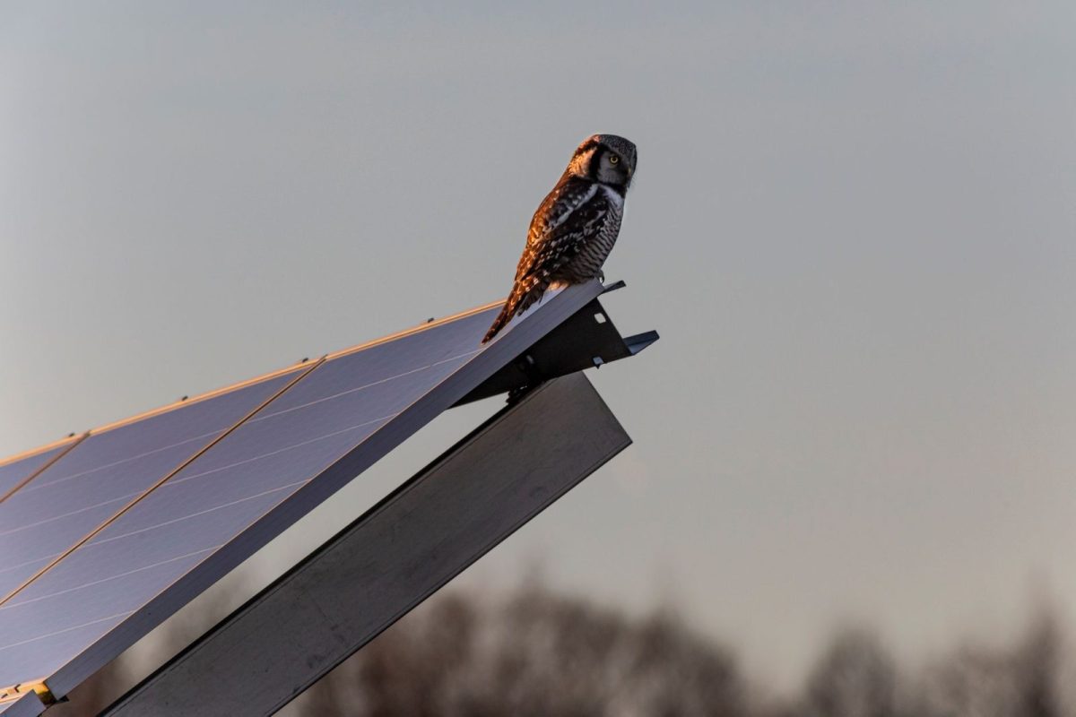 Installer adjusting the tilt angle of a solar panel mount