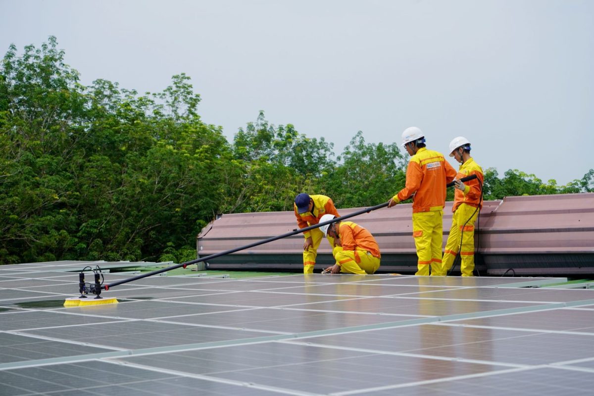Person cleaning a solar panel with a soft brush and water