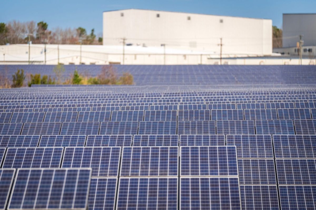 Bifacial solar panels mounted on an elevated racking system showing the rear side