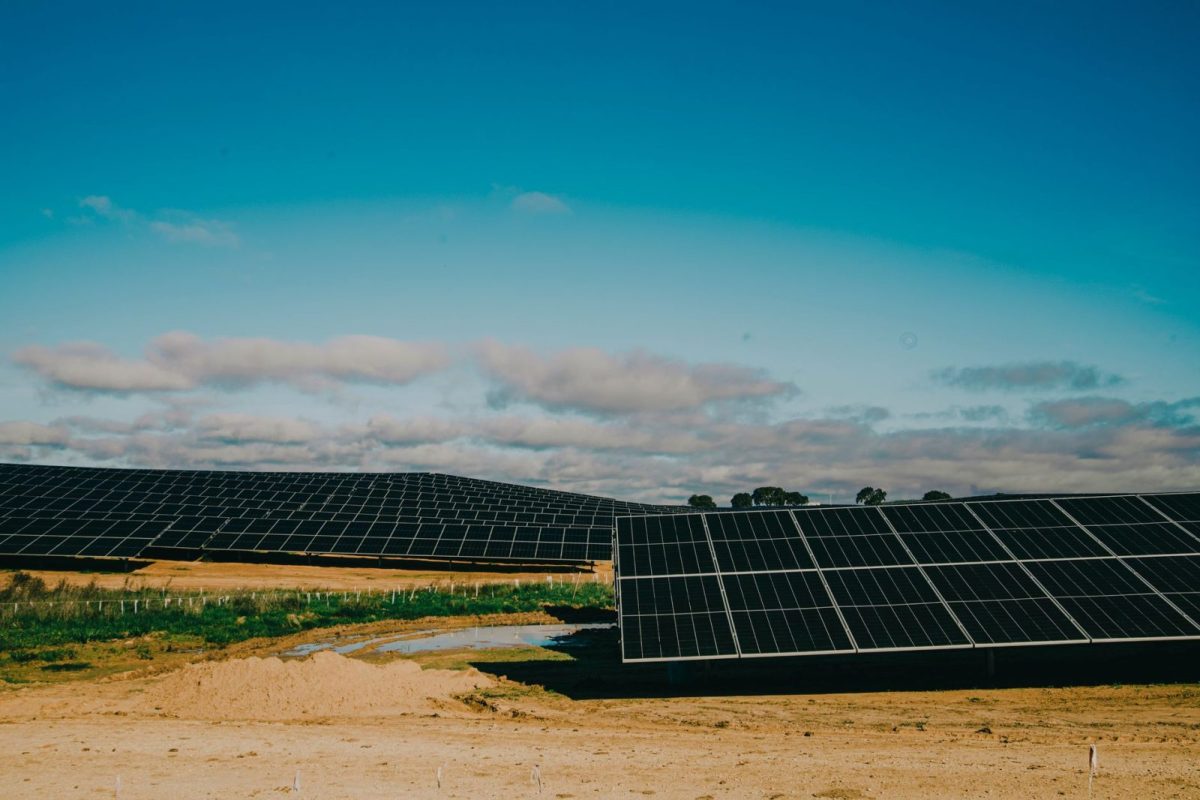 Rows of solar panels in a large array under clear sky