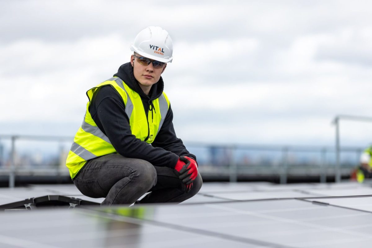 Engineer inspecting solar modules for defects under warranty
