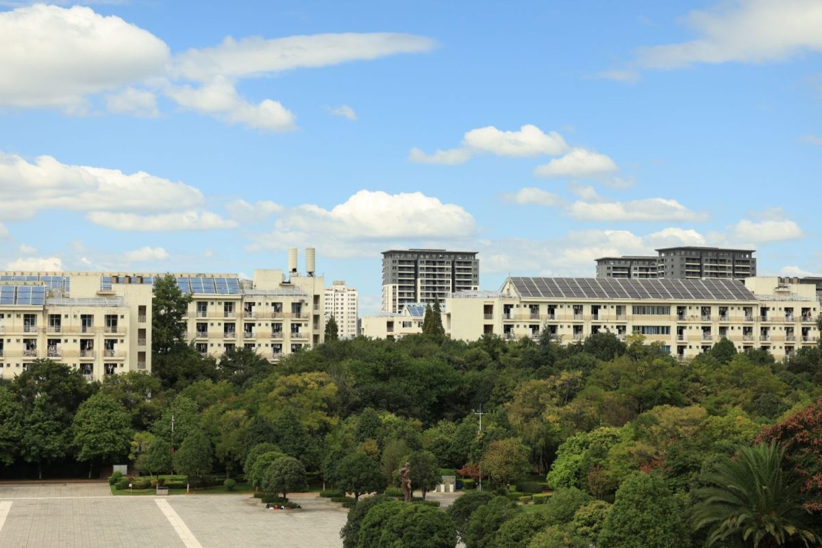 Solar panels installed on the shared rooftop of an apartment building in India