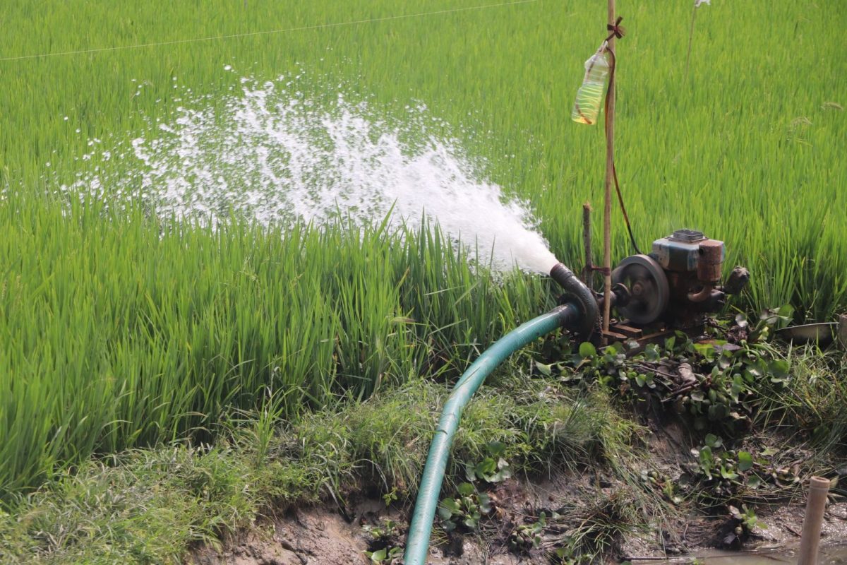 Solar powered borewell pump irrigating crops in rural India