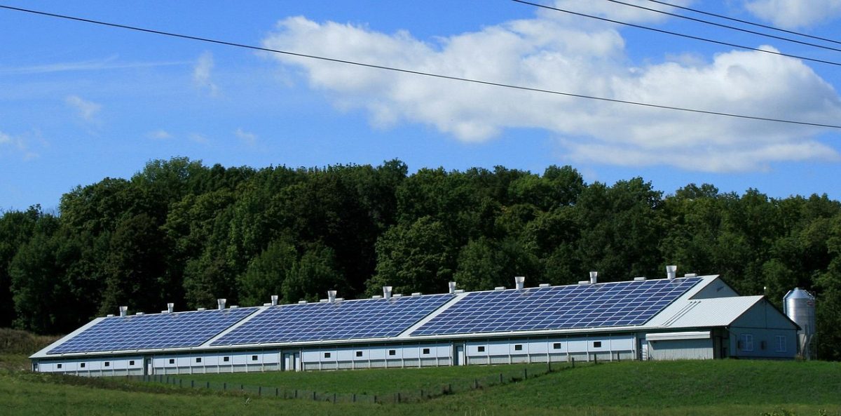 Rooftop solar array on an Indian home used to size the whole system